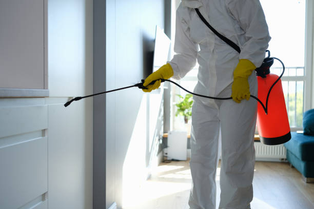 Crawl Space Mold Removal in Chapin, SC