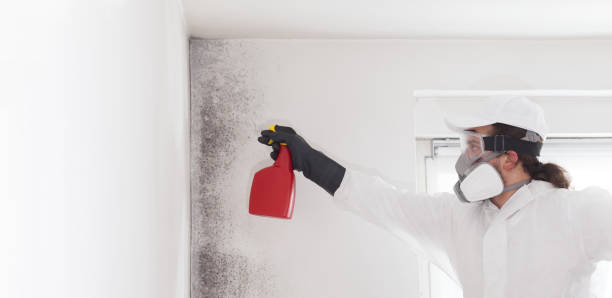 Crawl Space Mold Removal in Chapin, SC